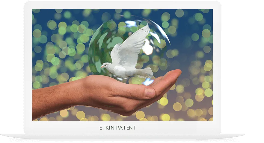 faydalı model on koruma yöntemleri-konak patent